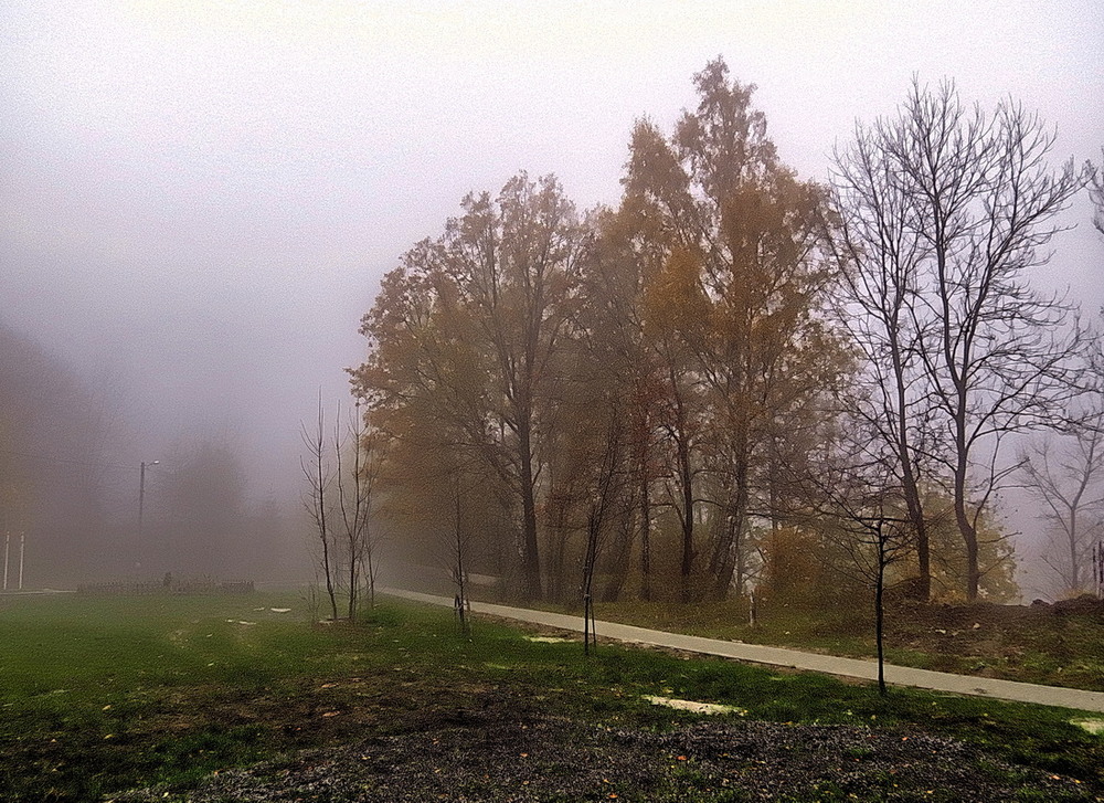 Фотографія Туман у жовтні / Ігор Мукалов / photographers.ua