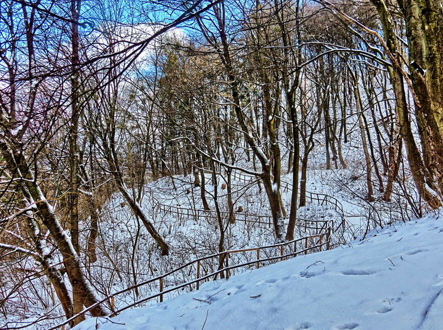 Фотографія Зимові стежки на схилах / Ігор Мукалов / photographers.ua
