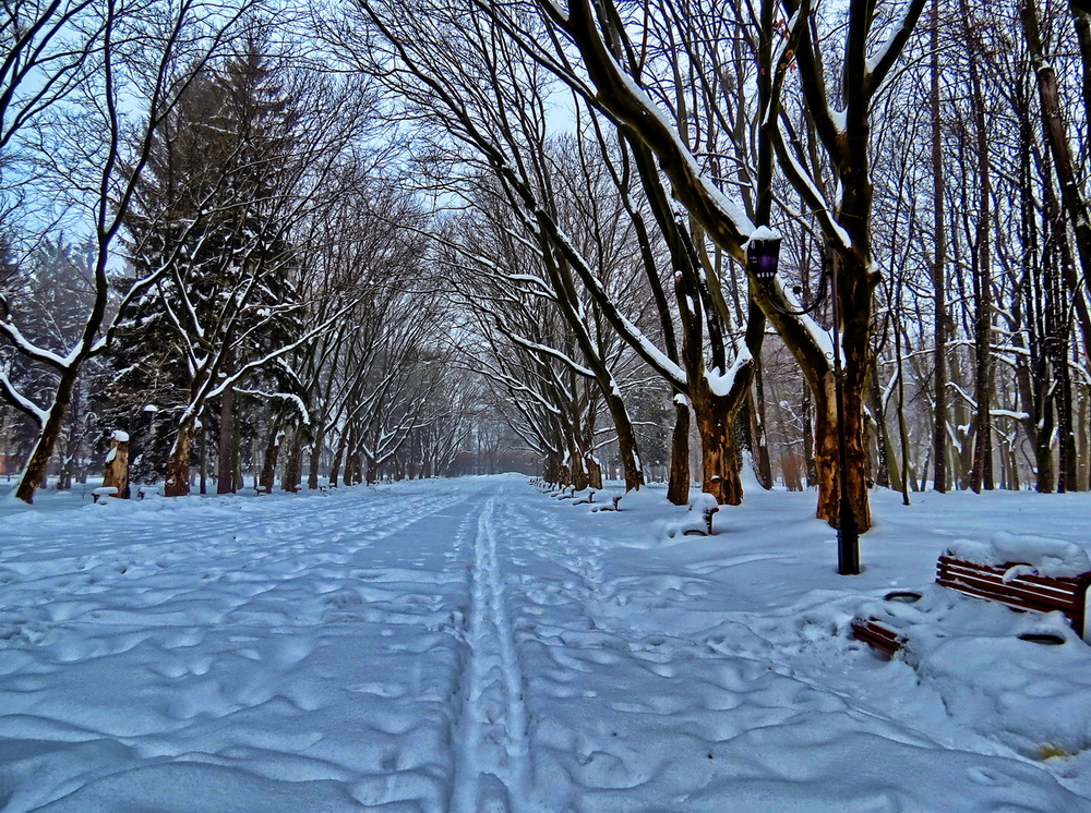 Фотографія Сніги лежать / Ігор Мукалов / photographers.ua