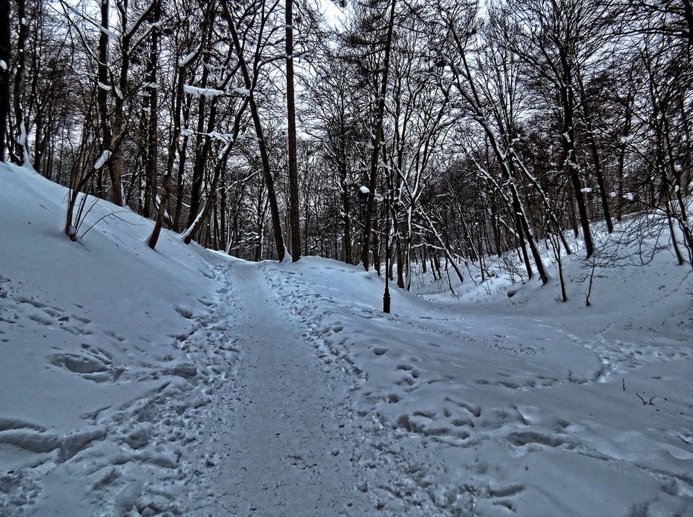 Фотографія Доріжка в зимовому парку / Ігор Мукалов / photographers.ua