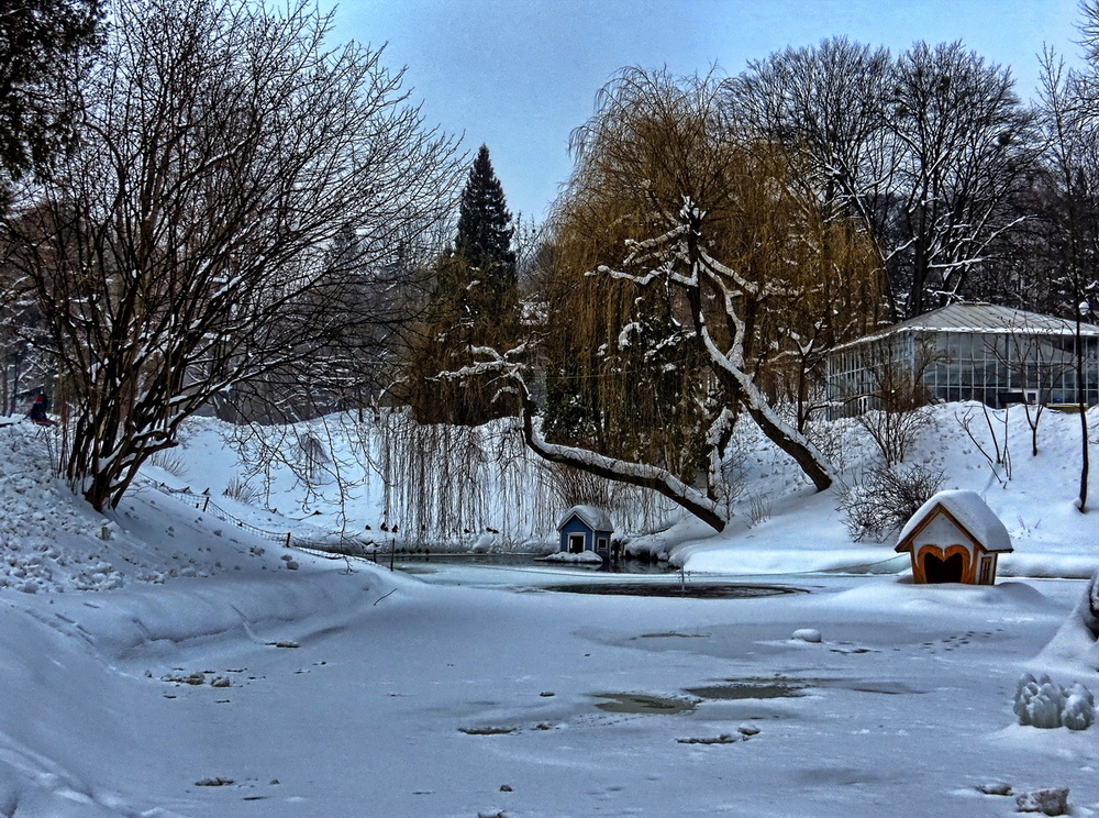 Фотографія Замерзлий ставок у парку / Ігор Мукалов / photographers.ua