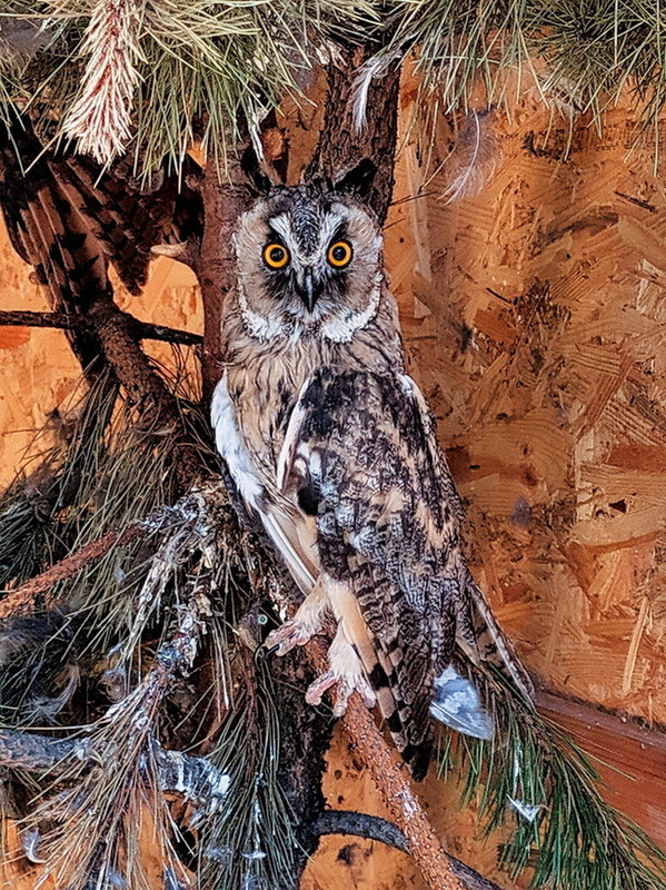 Фотографія Разное / Ігор Мукалов / photographers.ua