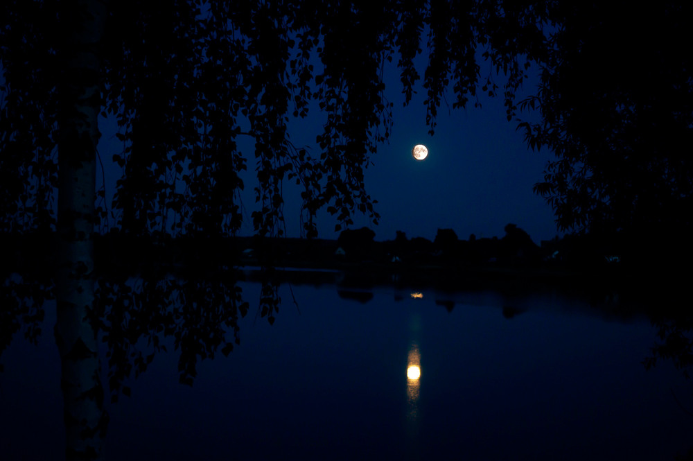 Фотографія Ніч яка місячна ... / Сергій Гудзь / photographers.ua