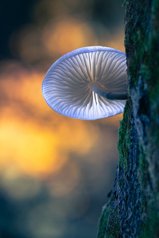 Фотографія ^| / Алекс Брр / photographers.ua