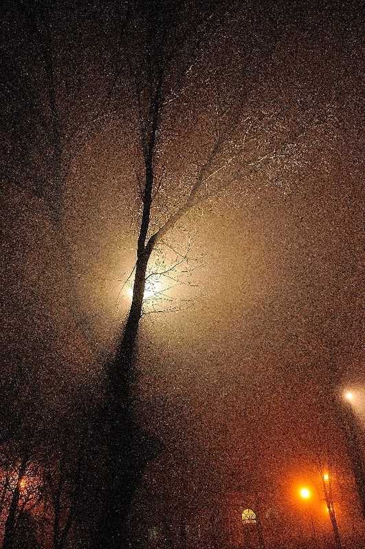 Фотографія Вечер, дерево, фонарь. / Денис Ткаченко / photographers.ua