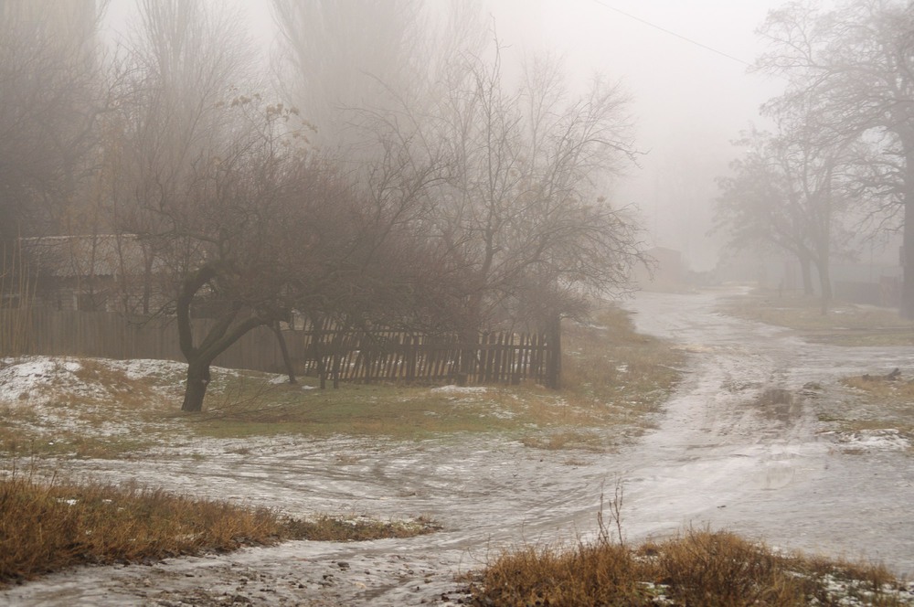 Фотографія Зимний туман / Денис Ткаченко / photographers.ua