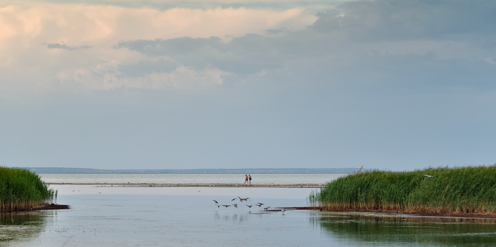 Фотографія Вечерняя прогулка / Денис Ткаченко / photographers.ua