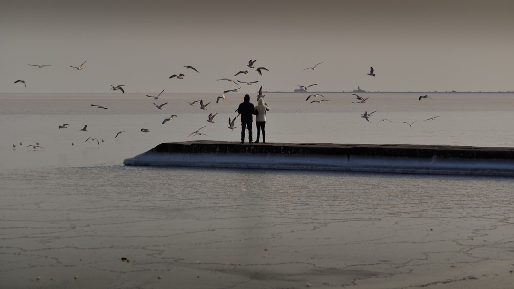 Фотографія Ты, я, море и чайки / Денис Ткаченко / photographers.ua