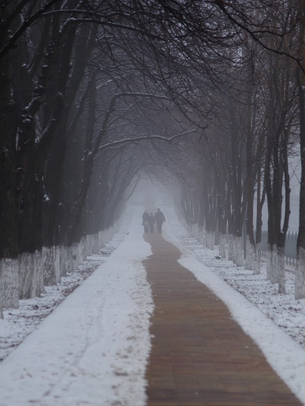 Фотографія Первый снег / Денис Ткаченко / photographers.ua