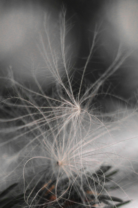 Фотографія Двое / Анастасия Сосновская / photographers.ua