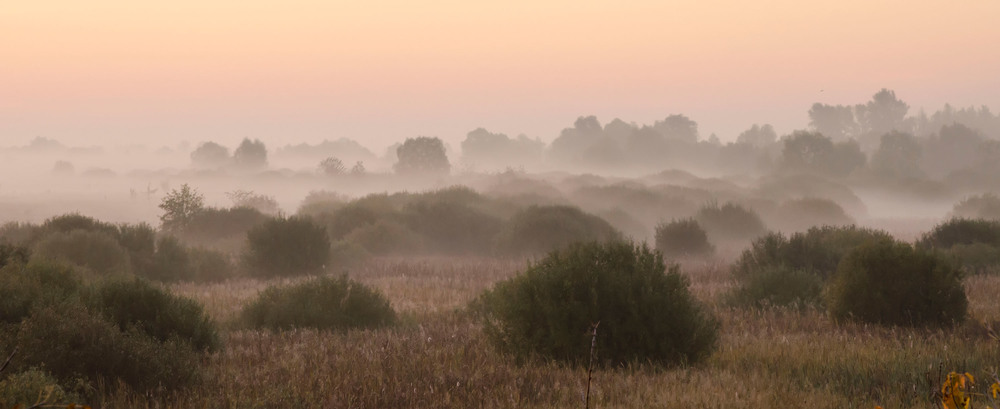 Фотографія Стелився туман долиною... / Larysa Berezhna / photographers.ua
