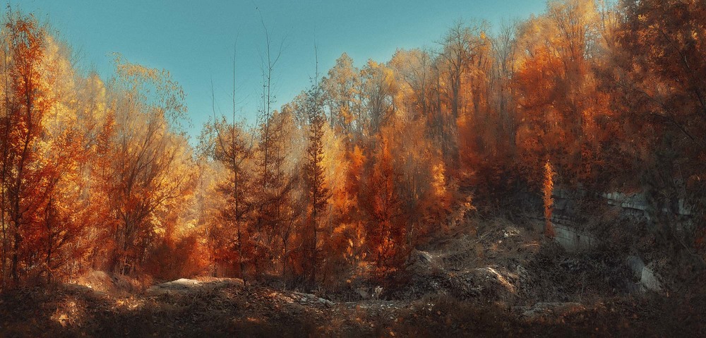 Фотографія "Осінні замальовки..." / Оксана Лабяк / photographers.ua