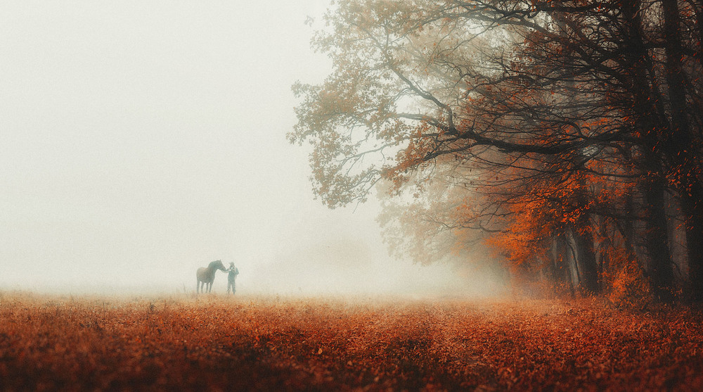 Фотографія "Ой, чий то кінь стоїть..." / Оксана Лабяк / photographers.ua