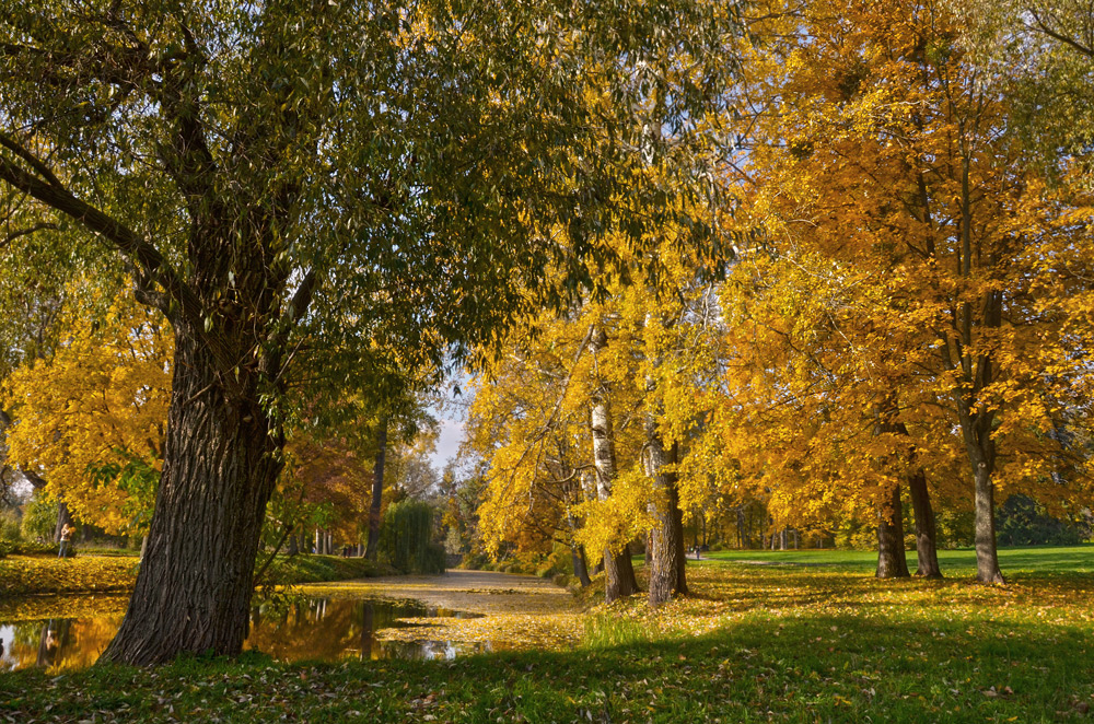 Фотографія Жовтогаряча осінь / MarynaK. / photographers.ua