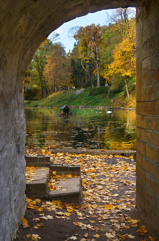 Фотографія Запрошення в осінь / MarynaK. / photographers.ua