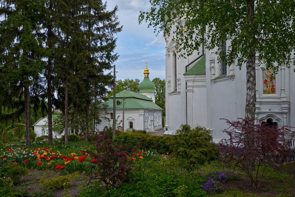 Фотографія У Видубицькому монастирі / MarynaK. / photographers.ua
