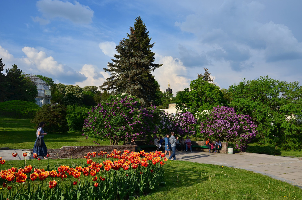 Фотографія У весняному саду / MarynaK. / photographers.ua