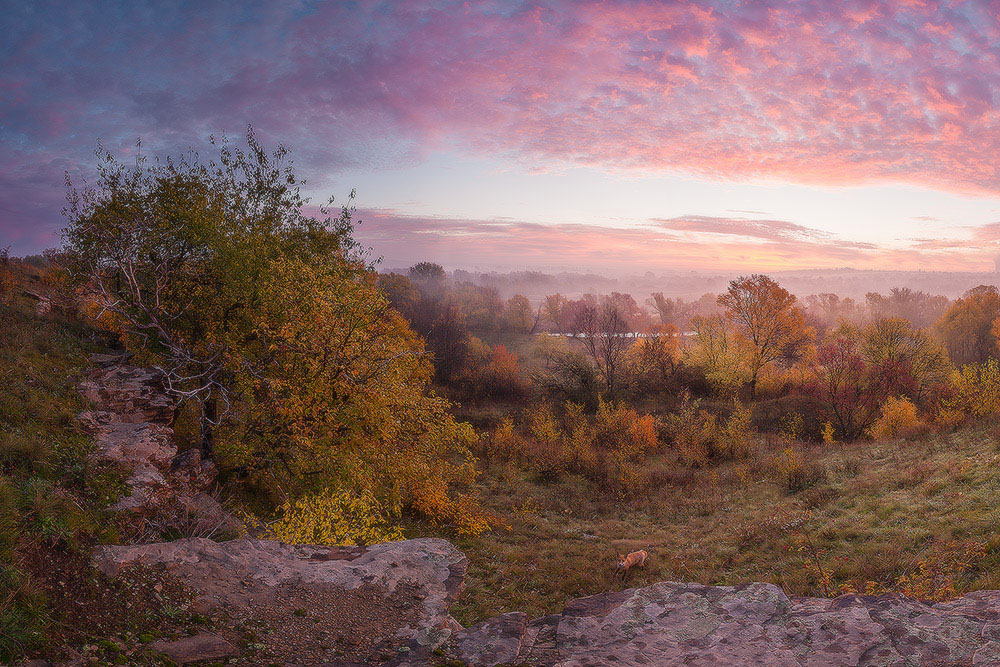 Фотографія утренний гость / Дмитро Балховітін / photographers.ua