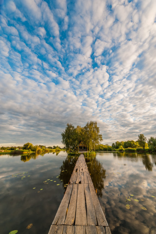 Фотографія Вечір над річкою / Дмитро Балховітін / photographers.ua