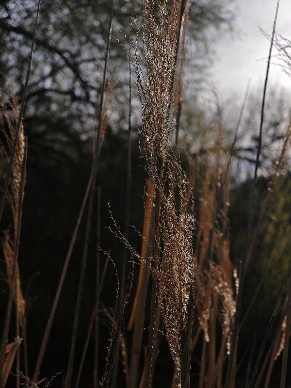 Фотографія Пейзаж / Рабенко Дмитро / photographers.ua
