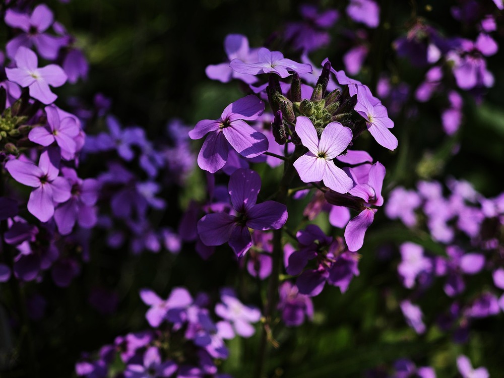 Фотографія Пейзаж / Рабенко Дмитро / photographers.ua