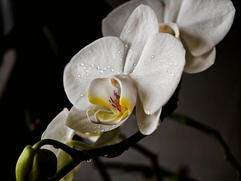 Фотографія Разное / Рабенко Дмитро / photographers.ua