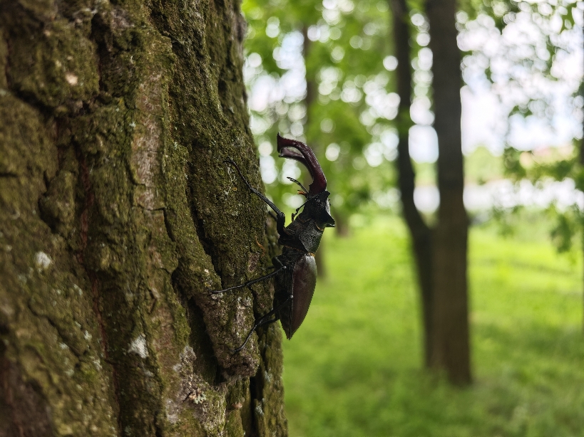 Фотографія Пейзаж / Рабенко Дмитро / photographers.ua