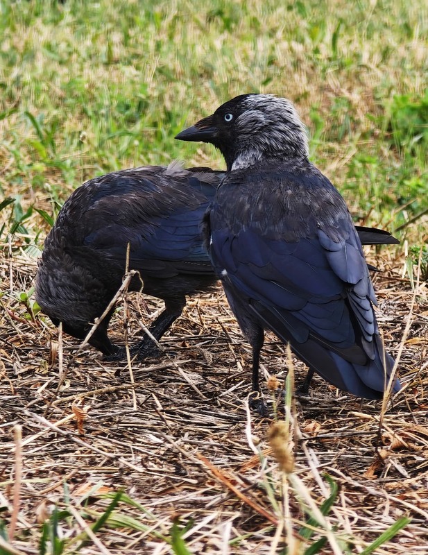 Фотографія Портрет / Рабенко Дмитро / photographers.ua