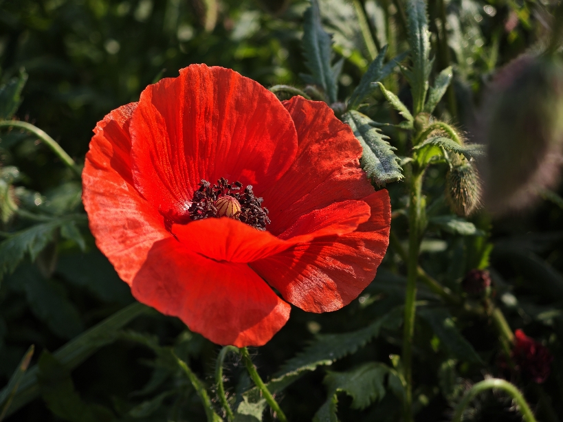Фотографія Пейзаж / Рабенко Дмитро / photographers.ua