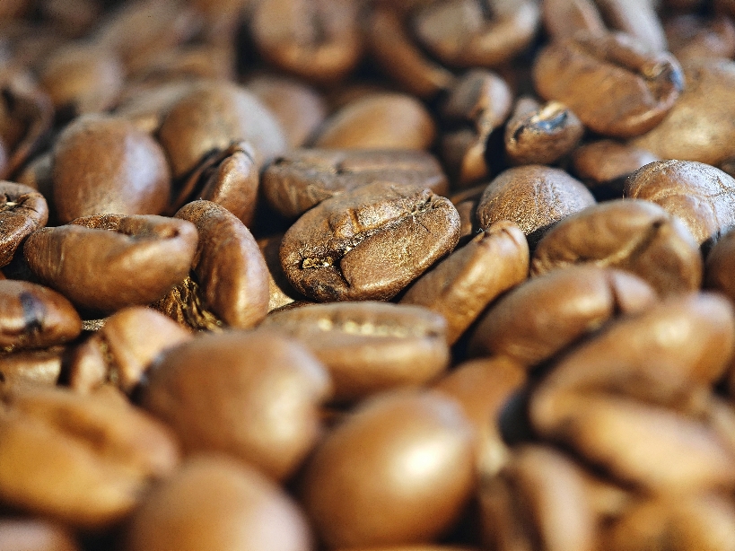 Фотографія Макро / Рабенко Дмитро / photographers.ua