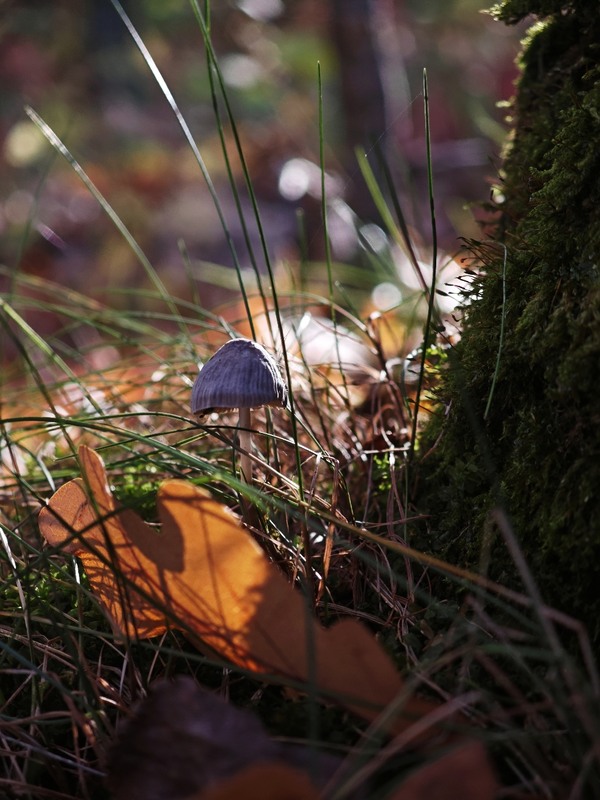 Фотографія Пейзаж / Рабенко Дмитро / photographers.ua