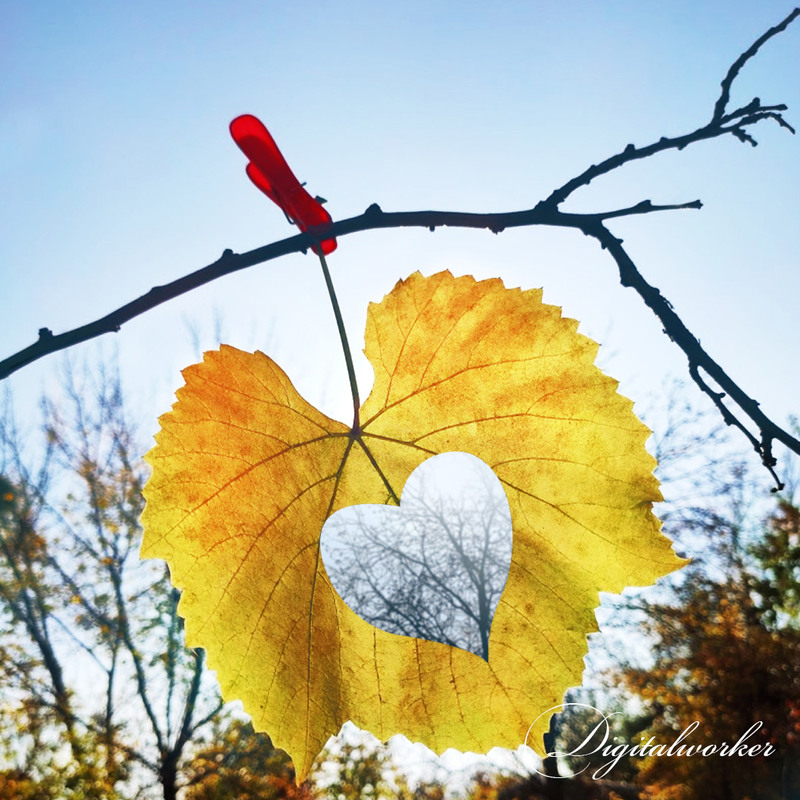 Фотографія Разное / Валентин Андрющенко / photographers.ua