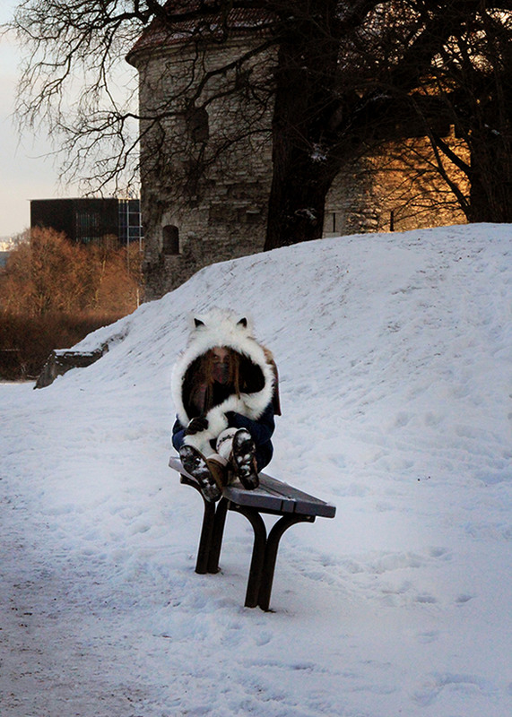 Фотографія Снежный барс пригрелся / Angel-Ok / photographers.ua