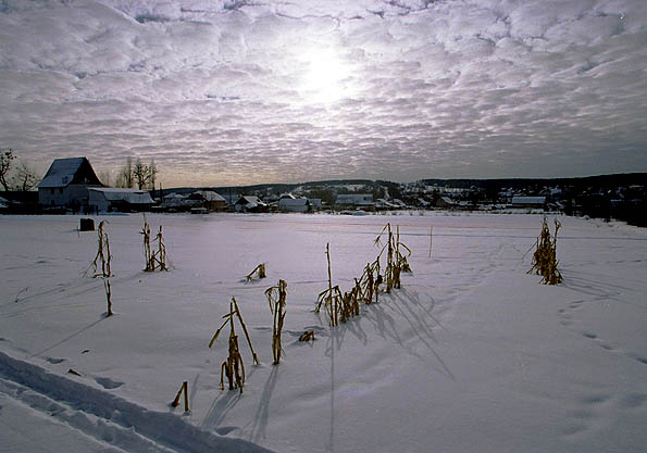 Фотографія зимно / Сергей Давыдков / photographers.ua