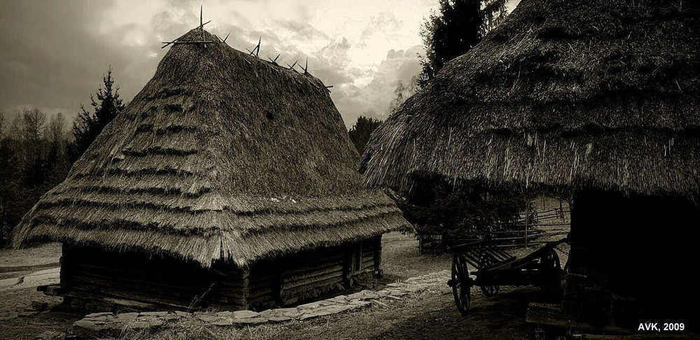 Фотографія House under thatched kryshets / Arthur Kaminskiy / photographers.ua