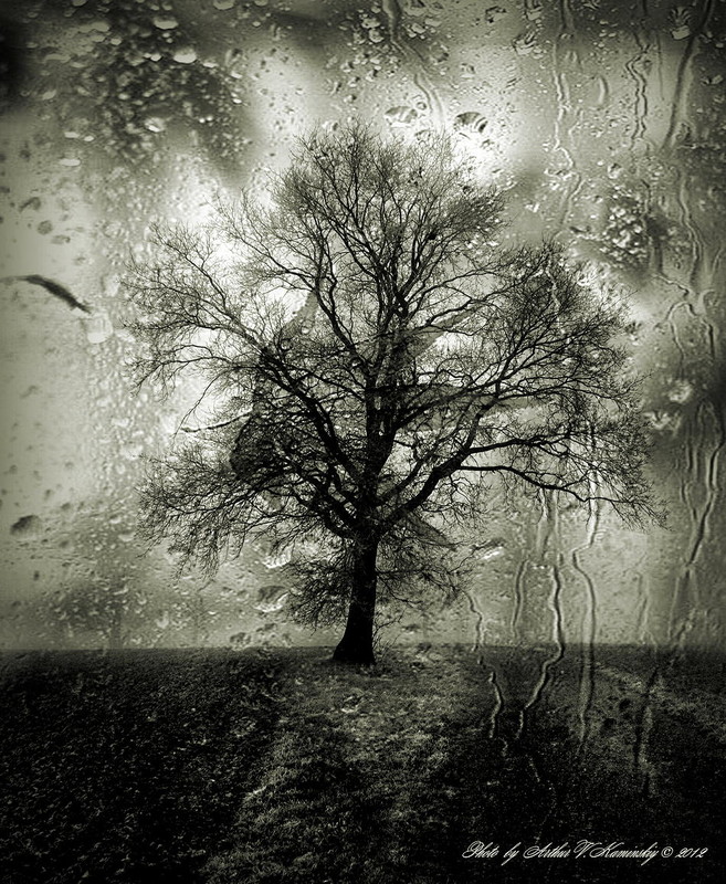 Фотографія Rainy loneliness / Arthur Kaminskiy / photographers.ua