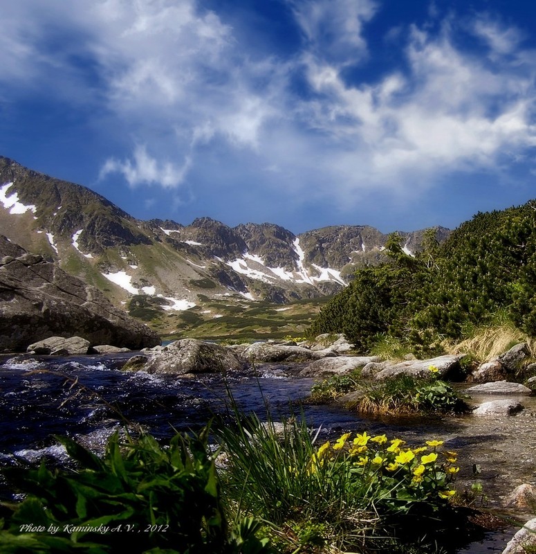 Фотографія Spring mountain landscape / Arthur Kaminskiy / photographers.ua
