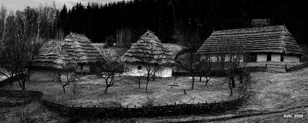 Фотографія Farm on the outskirts of the forest / Arthur Kaminskiy / photographers.ua