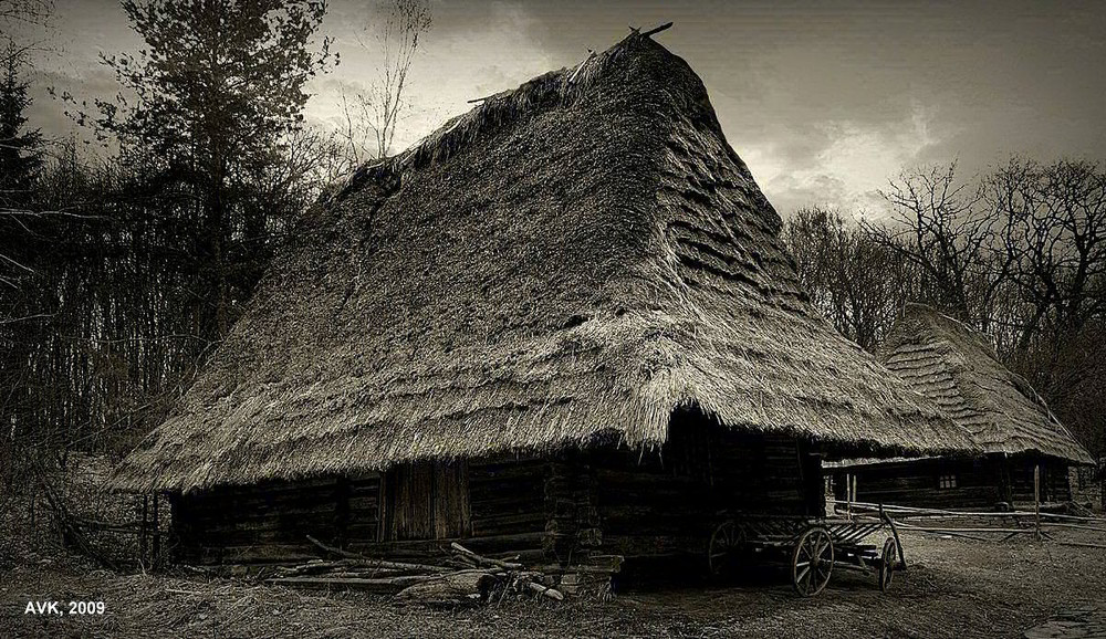 Фотографія Wooden houses under a thatched roof / Arthur Kaminskiy / photographers.ua