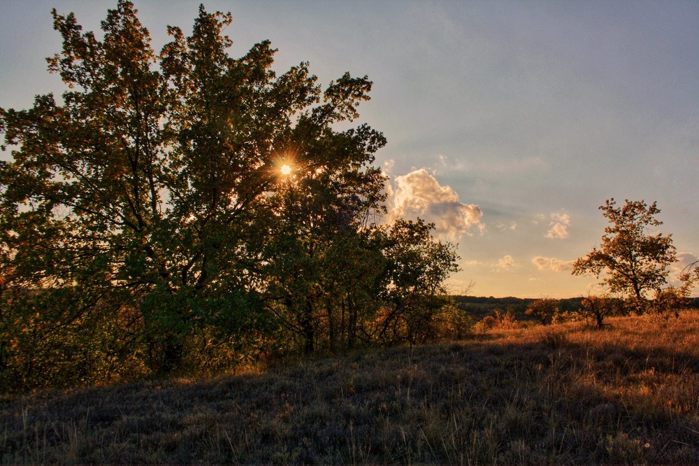Фотографія Сонце низенько, вечір близенько. / Микола Коробський / photographers.ua