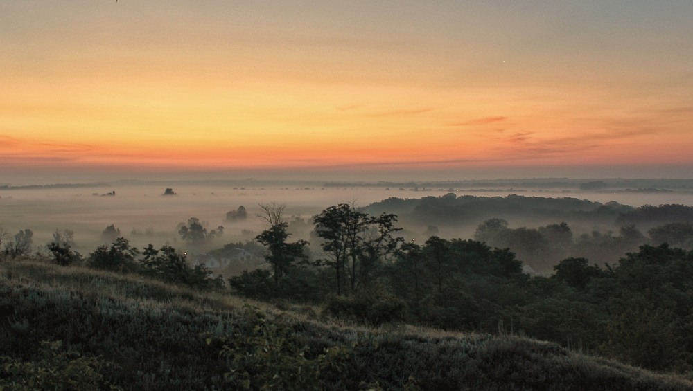 Фотографія Ранок поле вибілив туманами / Микола Коробський / photographers.ua