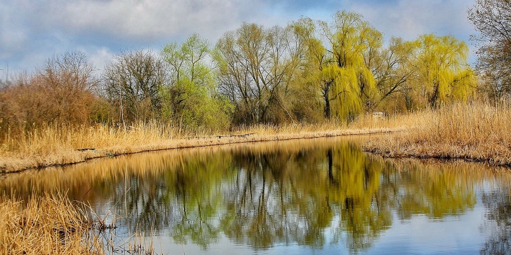 Фотографія Весна в цей світ ясну красу несе / Микола Коробський / photographers.ua