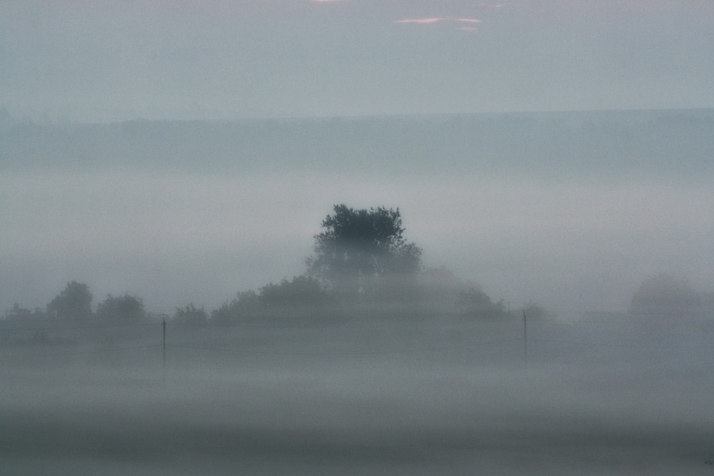 Фотографія Тумани для їжачка. Маленька серія - Світлина 1 / Микола Коробський / photographers.ua
