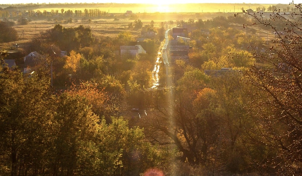 Фотографія Дощова осінь / Микола Коробський / photographers.ua