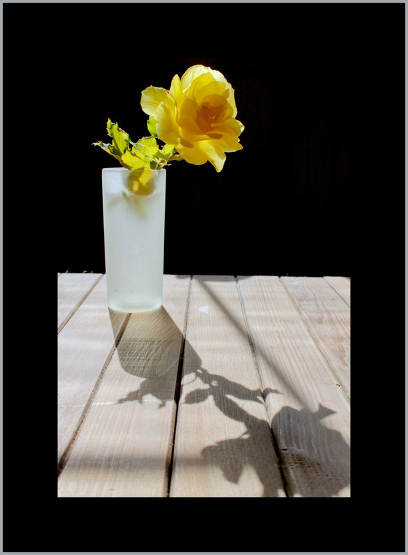 Фотографія Троянда жовта - квітка це надії… / Микола Коробський / photographers.ua