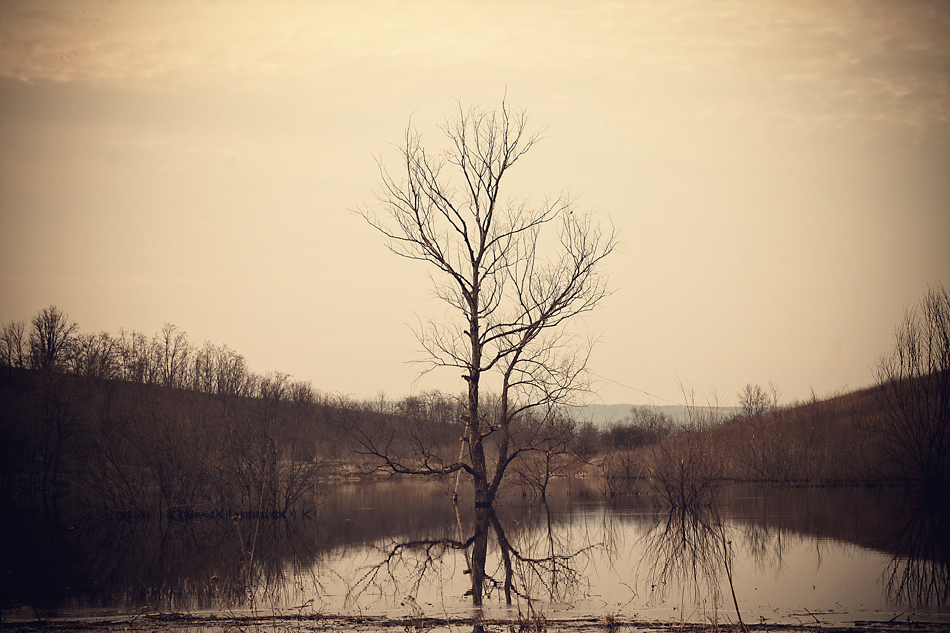 Фотографія *** / Serghei Mumji / photographers.ua