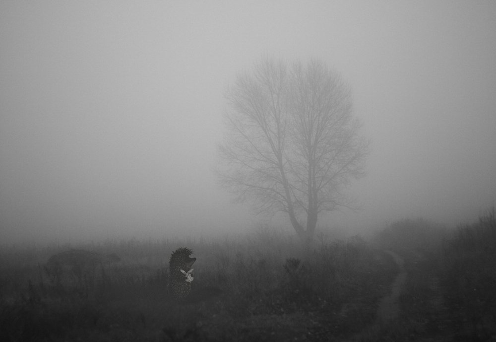 Фотографія Сага о вчерашнем тумане... / Алина Богачук / photographers.ua