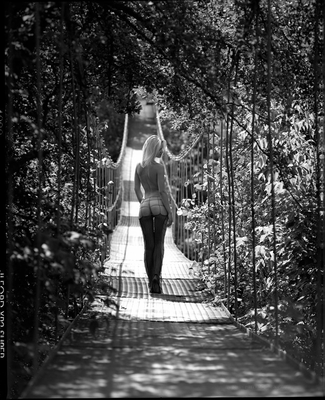 Фотографія on the bridge / Sergey Ostapovsky (~OSV~) / photographers.ua