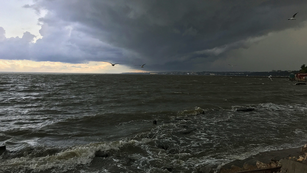 Фотографія Буря, скоро грянет буря!... / sergio.s / photographers.ua