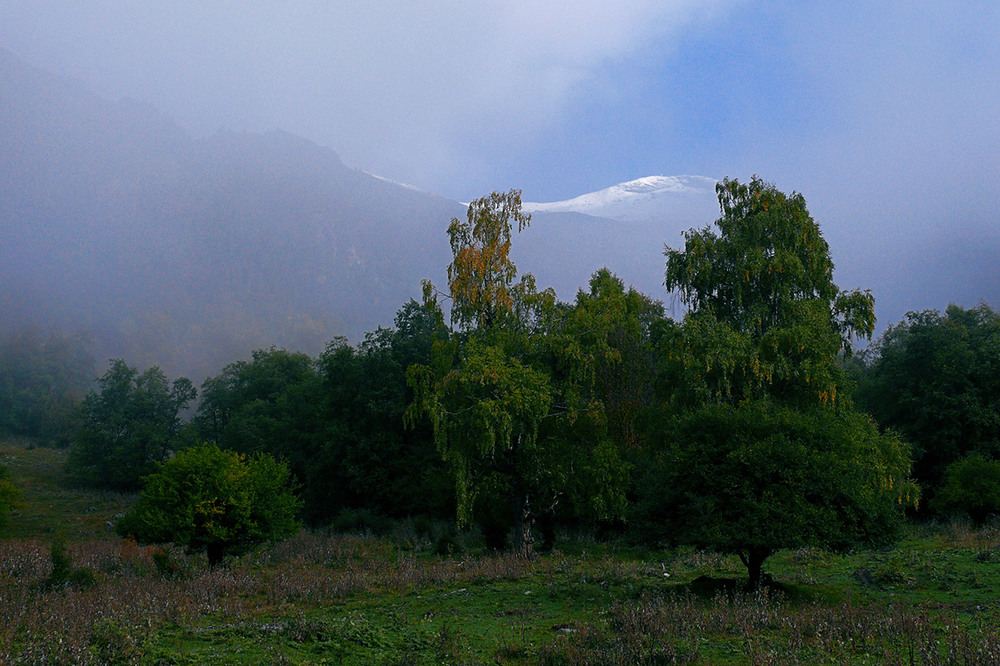 Фотографія Утро в предгорье / sergio.s / photographers.ua